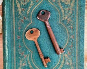 Large Unique Skeleton Keys - Set of Two