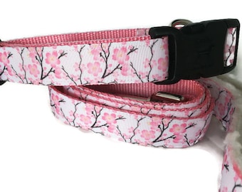 Dog Collar and Leash, Cherry Blossom, 1 inch wide, 6ft leash, quick release, metal buckle, chain, martingale, hybrid, nylon