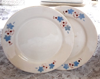 Vintage soviet dishes Two retro dinner plate Retro 1970s plate Soviet retro plates Retro dinnerware Ussr platse Retro russian plate