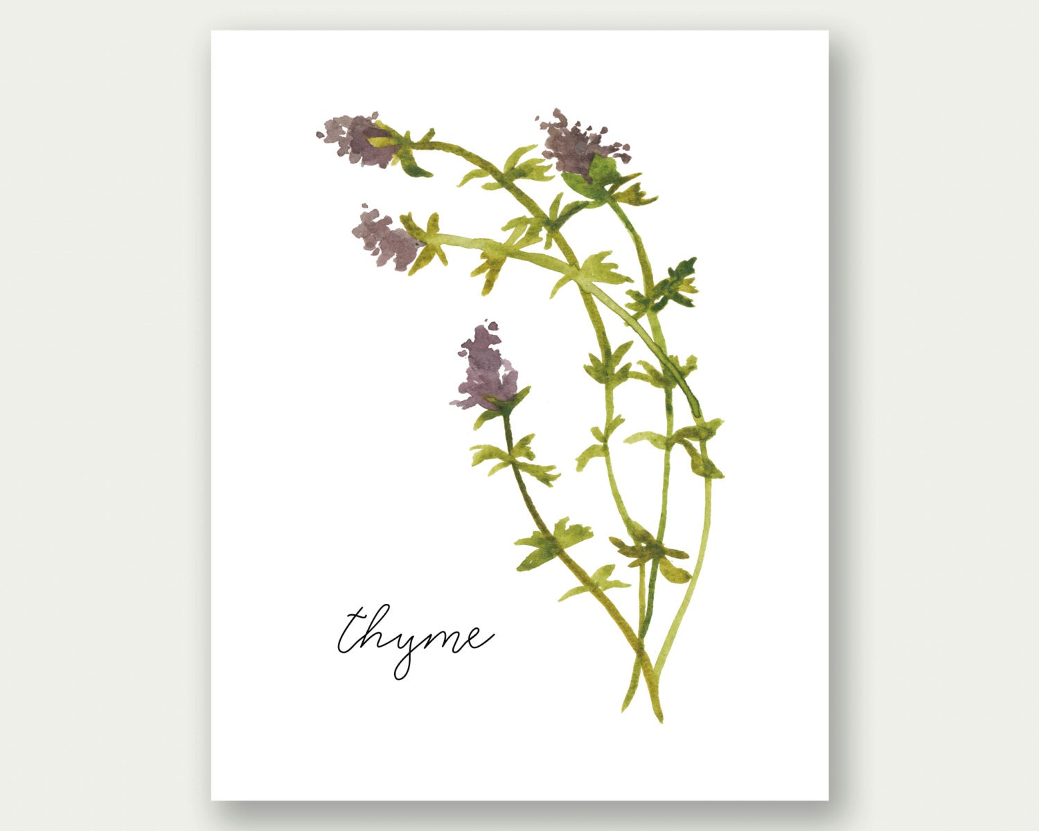 sale kitchen wall art herb print thyme wall art kitchen