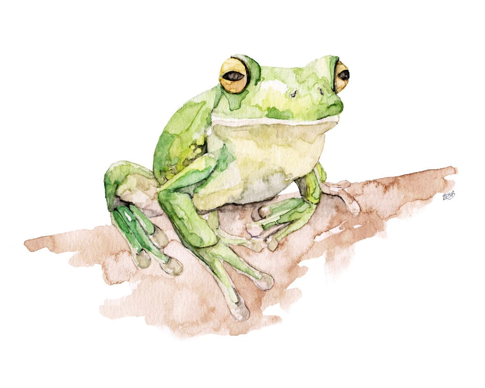 Tree Frog Painting Print from Original Watercolor Painting