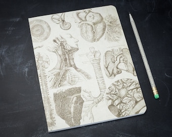 Anatomy Softcover Notebook | Anatomical Journal, Nurse, Doctor Gift, College Ruled Lined, Recycled Paper, Medical, Physiology, Dr, Teacher