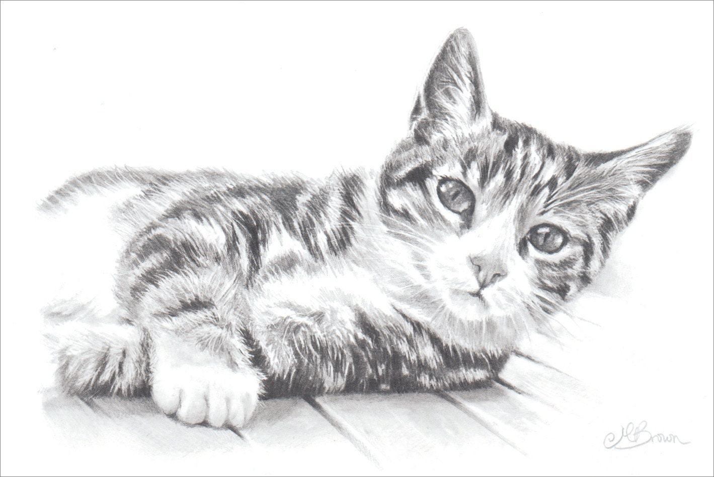 Tabby Cat Cat Art Print Pencil Drawing of a Cat. Gift for