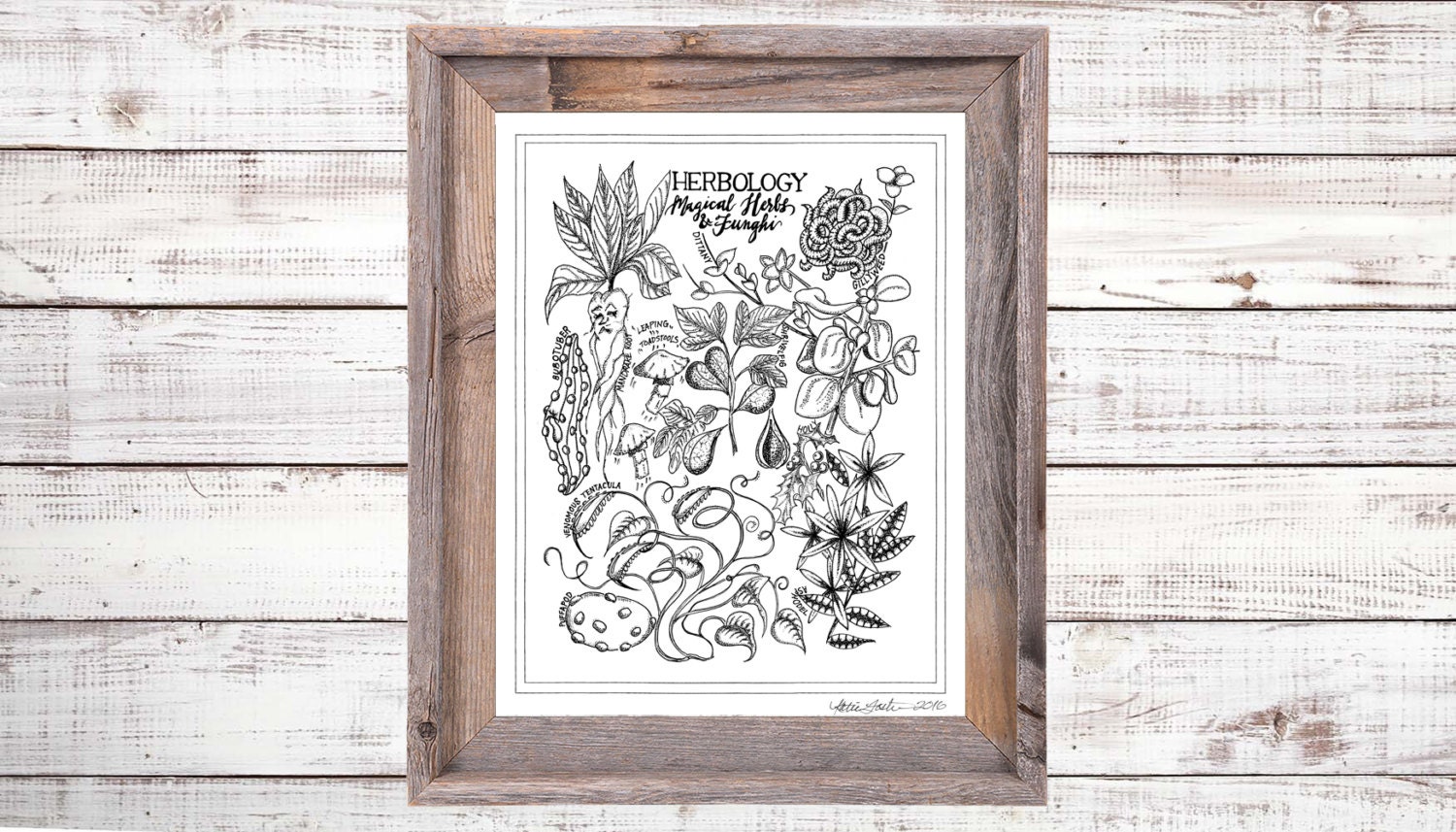 Harry Potter Herbology Chart Artist Print Harry Potter Art
