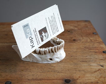 Business Card Holder for desk Human Skull Jaw Bone Replica Real Size Realistic Resin Cast jawbone Anatomy Gift for Doctor Dentist Office