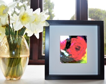 Glowing Rose Art Print