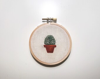 Cactus