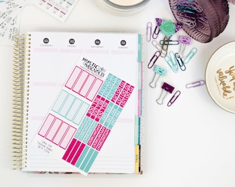 Cute planner stickers, bullet journal stickers, to do lists, payday stickers, header sticker, bill due, appointment stickers, bullet journal