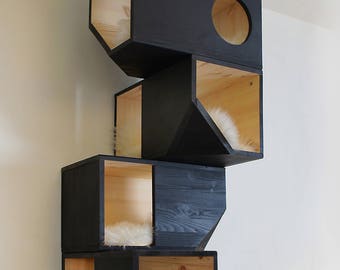 Black Catissa, Modular Cat House