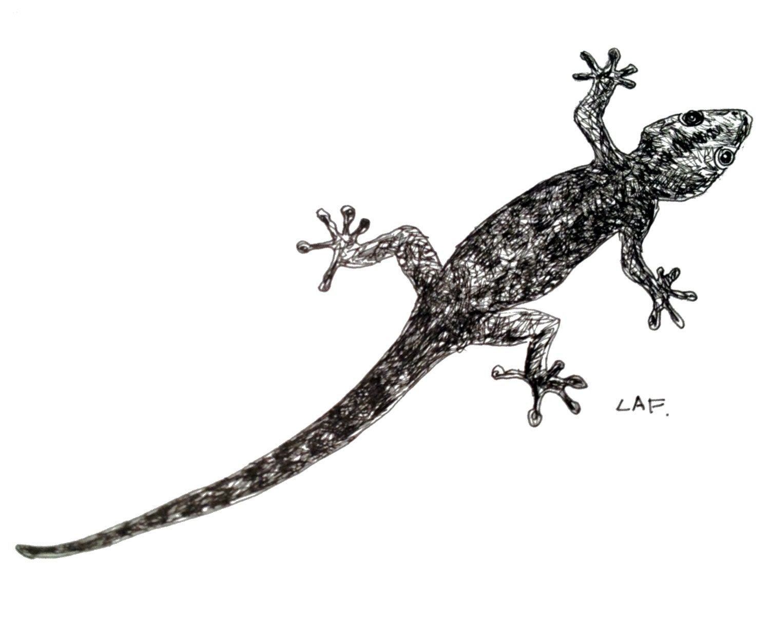 Gecko art gecko printsOriginal Pen and Ink Drawing Limited for House Lizard Drawing
589ifm Gecko art gecko printsOriginal Pen and Ink Drawing Limited for House Lizard Drawing
589ifm