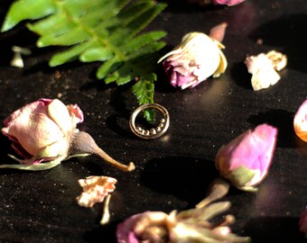 14KY Gold Beaded Septum Ring