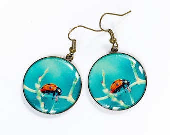 Ladybug dangle earrings Statement earrings Blue earrings Mother day gift for mom birthday gift for sister gift for girlfriend gift for her
