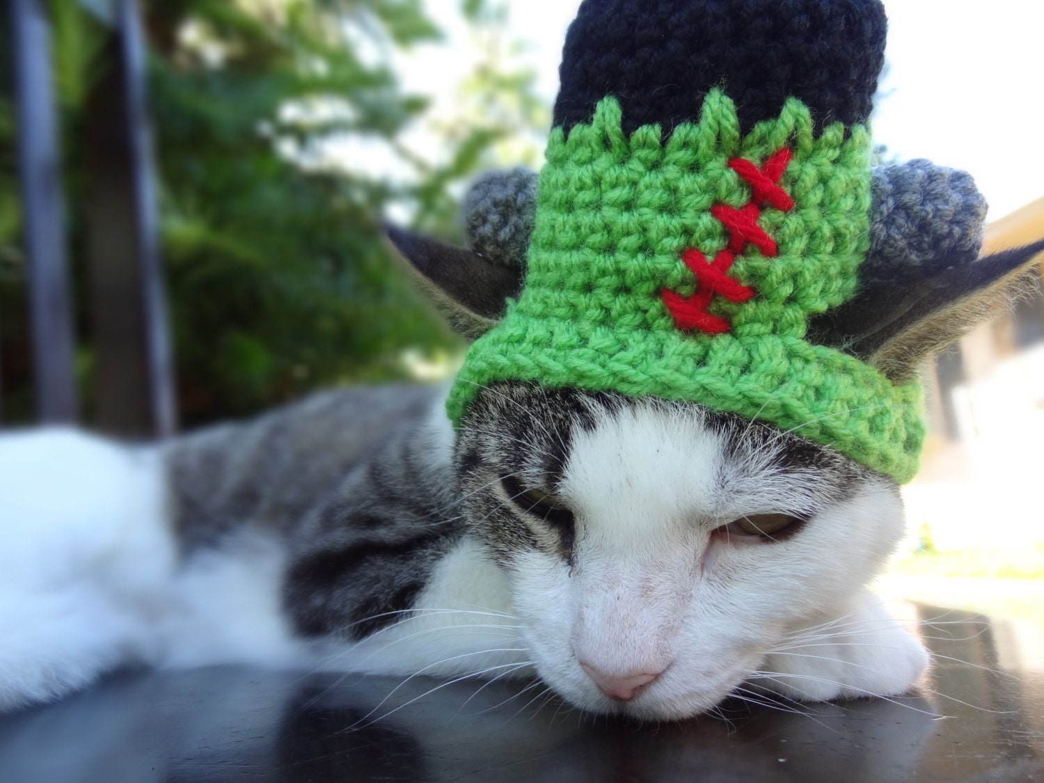 Frankenstein Cat Hat