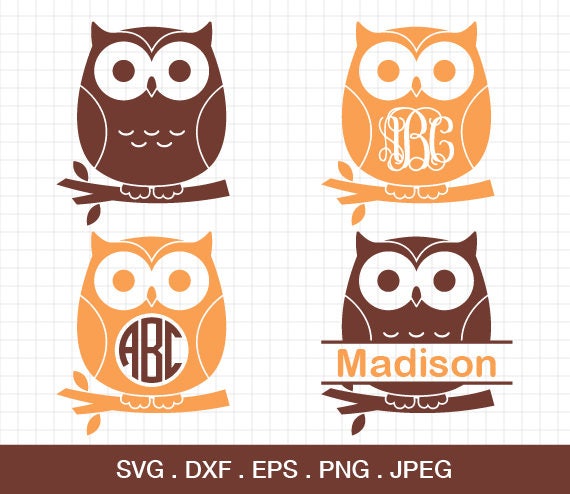 Owl Svg Owl Monogram frames SVG Cute Owl svg Owl Monogram