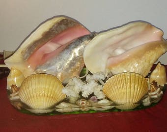 Vintage Conch Sea Shell Lamp