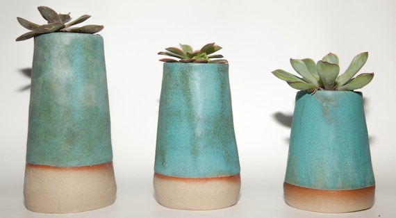 Danu Ceramics Succulent Vase