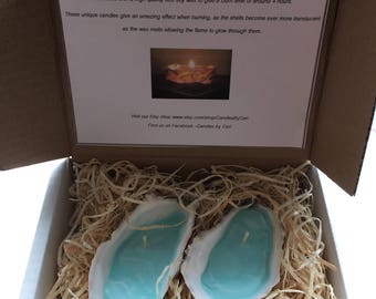Gift packaged homemade coloured oyster shell candles x 2