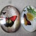 x 2 mixed cameo/cabochon oval glass dome pattern Butterfly 25 x 18 mm
