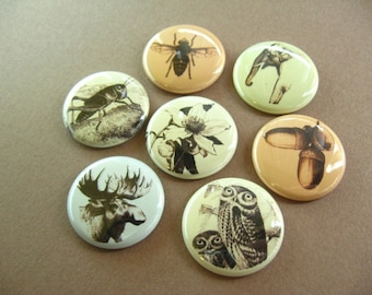 Magnets Seven Animals, Magnabilities Compatible 1179