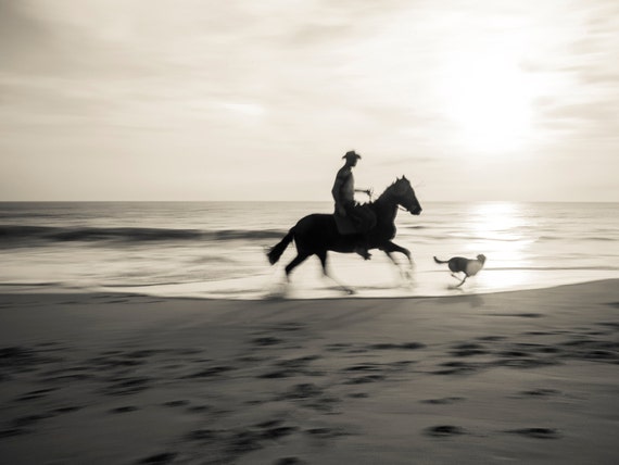 ZAHORA RIDER. Equine print, Galloping Horse, Spain, Horseriding Picture, Photographic Print