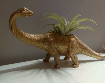 Colorful Dinosaur Planters for succulent or Air plants ON SALE