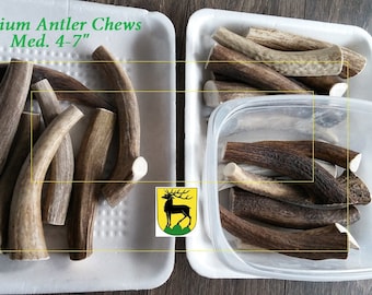 High Quality Elk/Deer Shed antler cuts (by the lb)