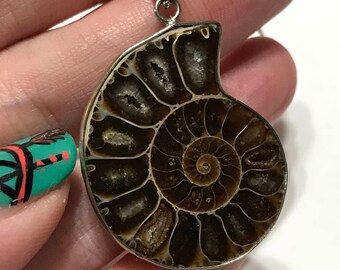 18k white gold plated Ammonite necklace