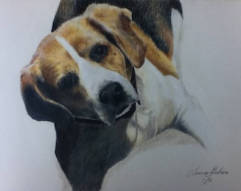 Custom Animal Portraits
