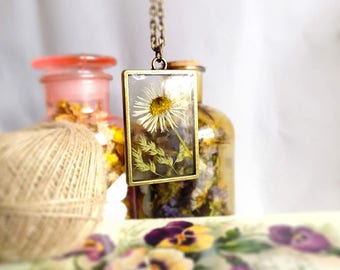 Real Daisy necklace, White Daisy, Real Pressed Daisy, Real Flower Necklace, Botanical necklace, Terrarium, Pressed Wildflower, Dried flower