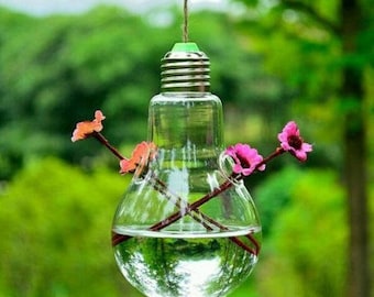 Hanging light bulb shaped vase / customize with flowers or plants