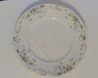 Blue and Green Floral Plate by Knowles, Taylor, and Knowles