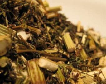 Oriental Wormwood - Sweet Annie - Artemisia annua Cut
