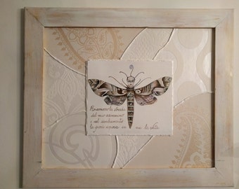 metamorphosis in the change