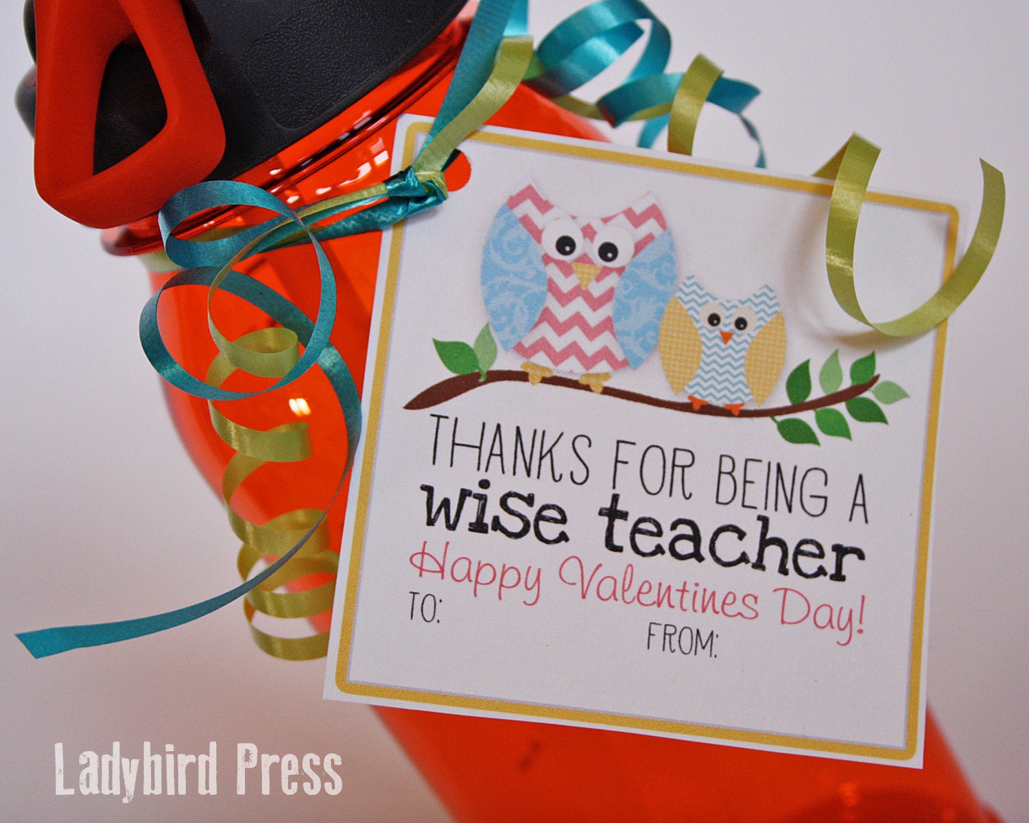 Printable Teacher Valentines Day Card Owl Classroom