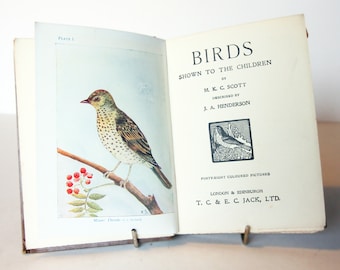 antique Illustrated Bird book with colour Plates 1900 Vintage childrens Ornithology Hardback Rare antique Wildlife nature