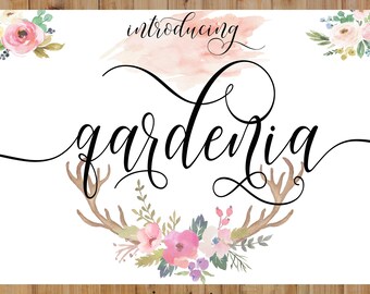Calligraphy Swirly Digital Font Handwritten digital font download swash modern calligraphy font bundle invitations, wedding, Christmas fonts