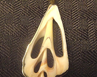 Terrific Vintage Sliced Shell Pendant Edged in Silver (1300)