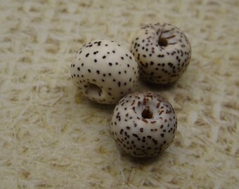 10 10mm pierced Tibetan lotus seeds