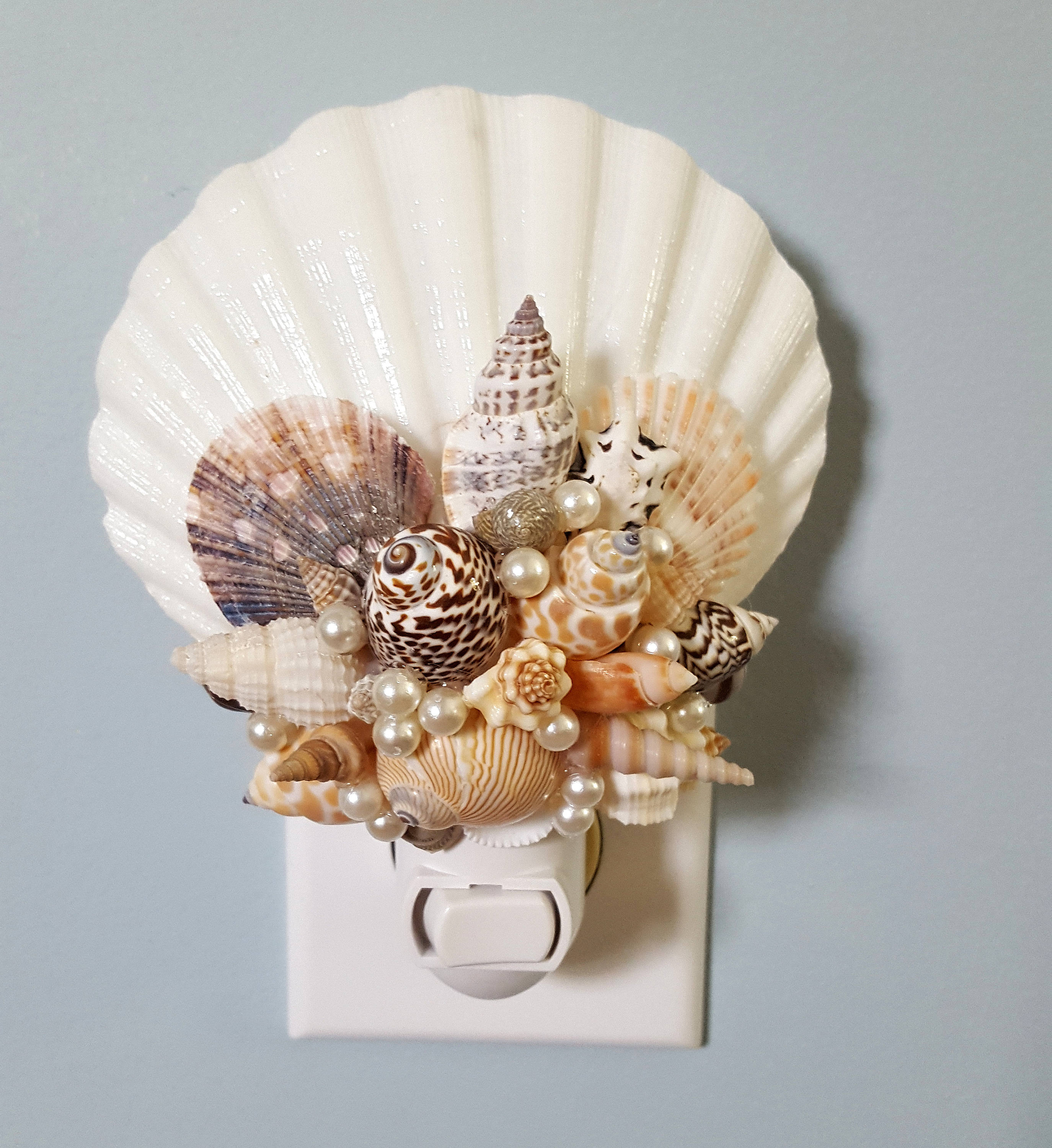 Seashell Night Light Beach Decor Nautical Decor Shell Night