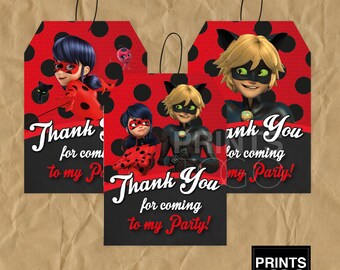Miraculous Ladybug birthday, Miraculous Ladybug party supplies, Ladybug party, Miraculous Ladybug thank you card