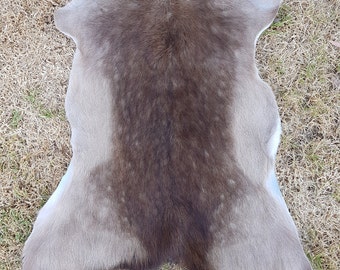 Real Fallow deer skin rug