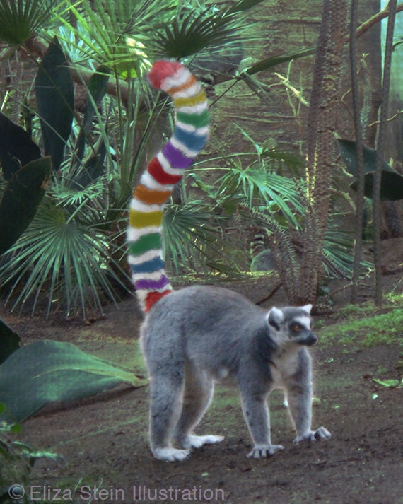 4x5 print card Greeting Card Rainbow LGBT 5x7 Card Pride Blank Gay Lemur