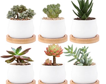 Ceramic Small Plant Pot with Bamboo Bottom