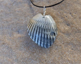 Shell jewelry as fractal wing heart necklace - naturally sourced in Australia. wing jewelry, fibonacci sequence in nature