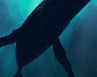 Humpback whale print