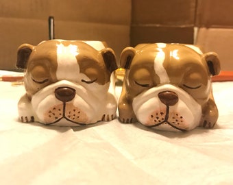 Six English Bulldog Succulent Planters (3 of each)