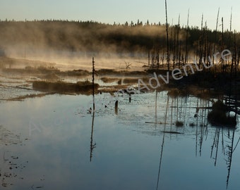 A photo greeting card.