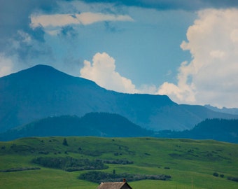 Canola Fields Photo, Alberta Photograph Canada Photography Yellow Flowers Spring Landscape Canadian Rockies can4