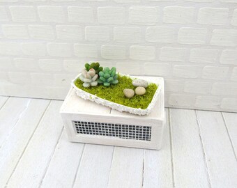 Terrarium with succulents rectangular pot for dollhouse in 1:12 scale