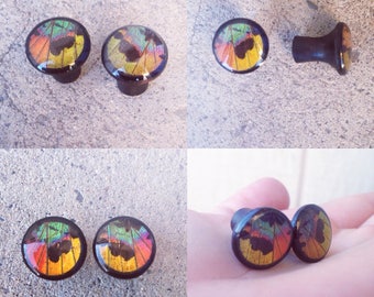 2G plugs with Sunset Moth Wings